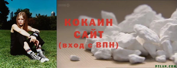 спайс Кулебаки