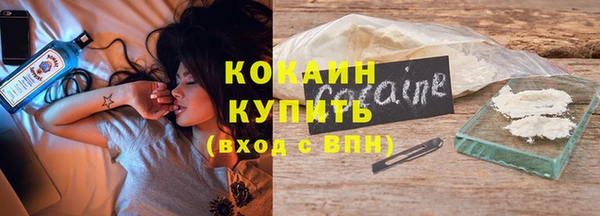 мдпв Лагань