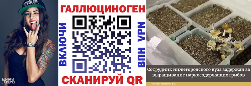 Купить закладки  Лаишево  Псилоцибиновые грибы мухоморы 