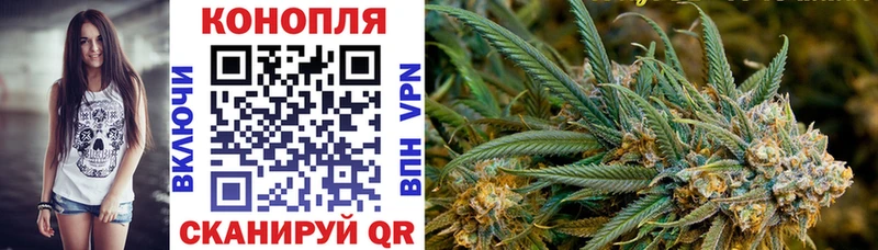 Купить закладки  Лаишево  Шишки марихуана сатива 